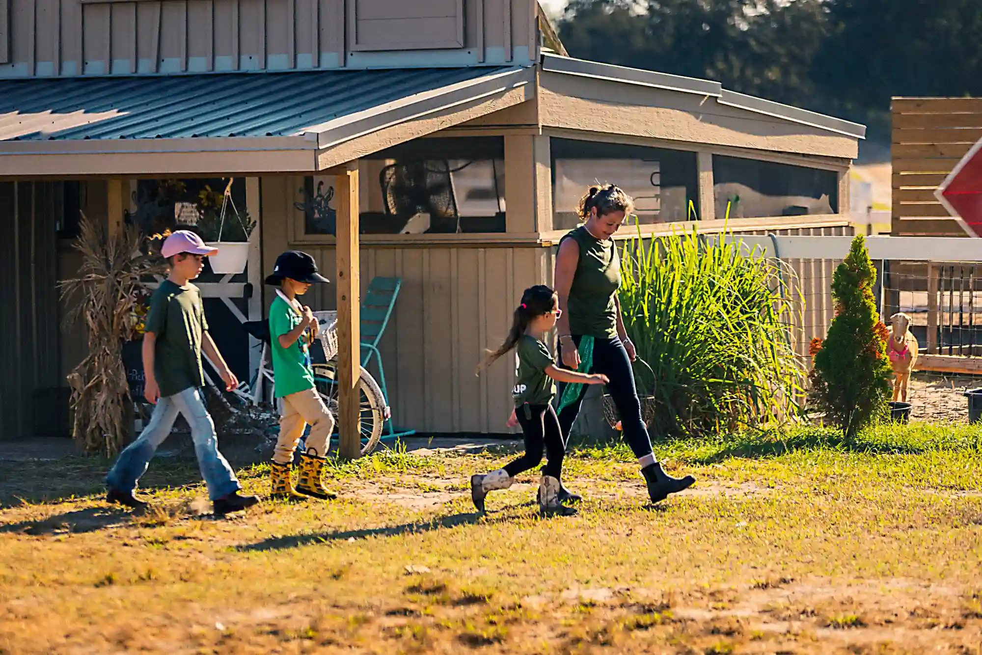 Living Series at Farmstead