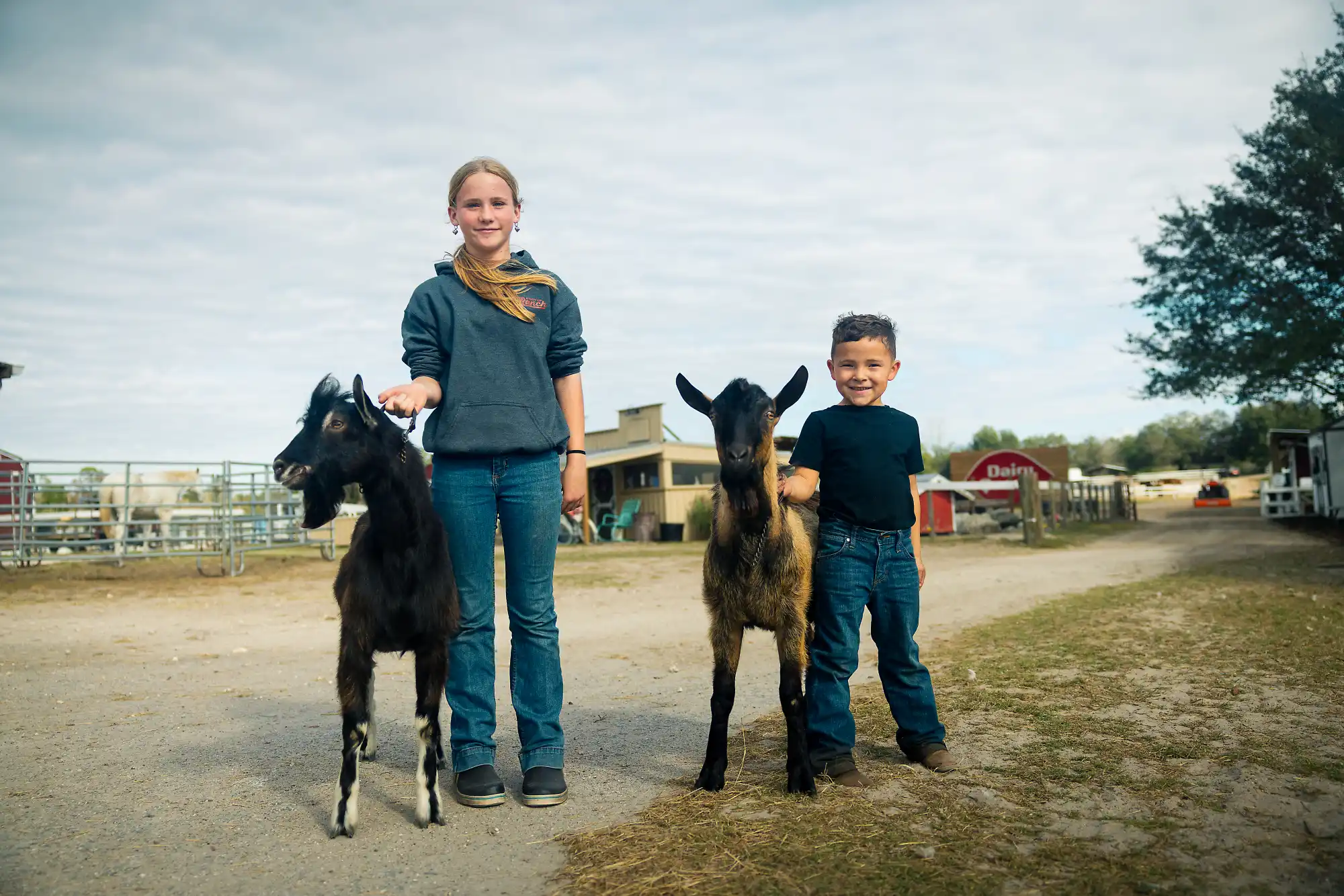 Goat showmanship with students and young goats