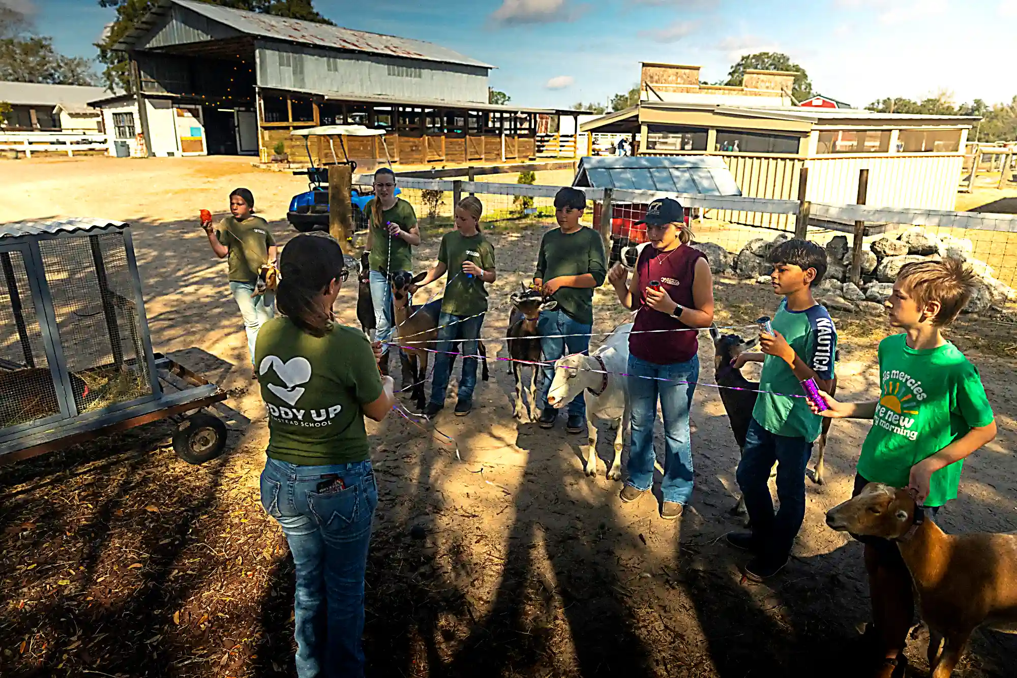 Farmstead Harvest at Farmstead