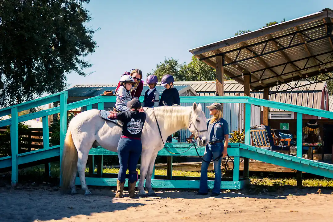 Field Trips at Farmstead