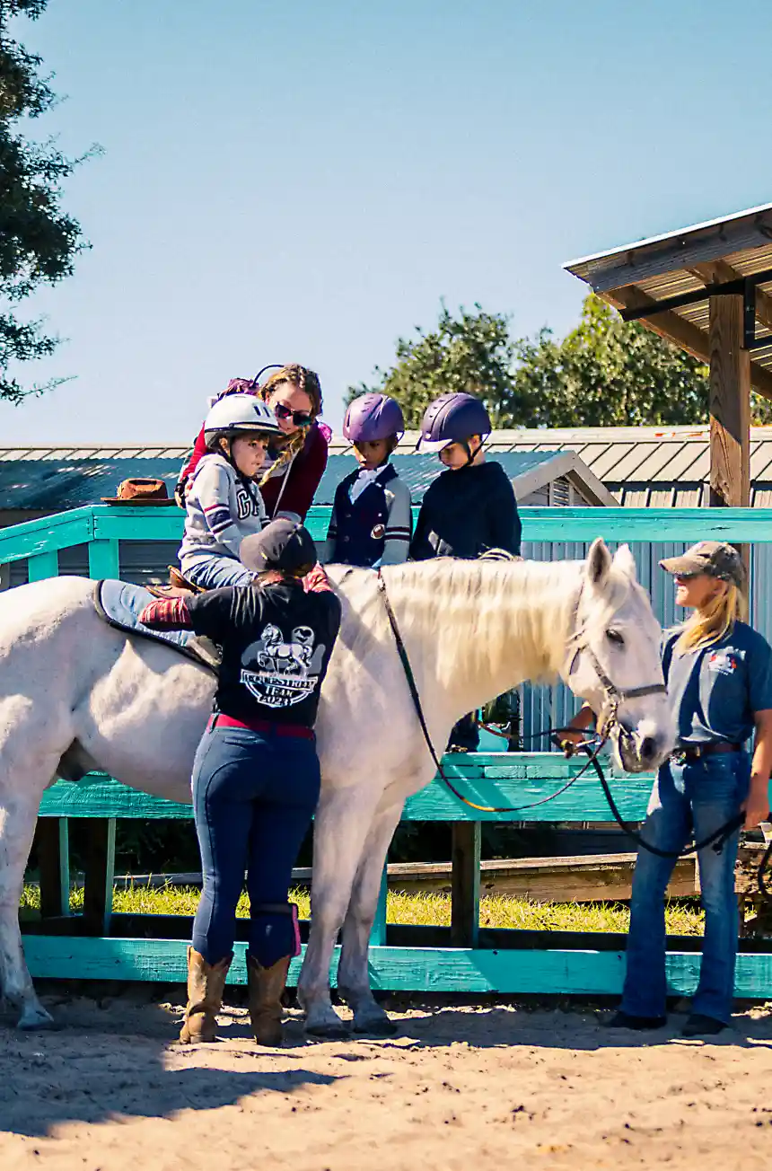 Field Trips at Farmstead