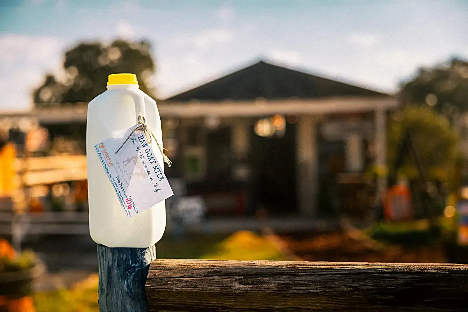 Jug of Heartland milk on a fence post outside the market