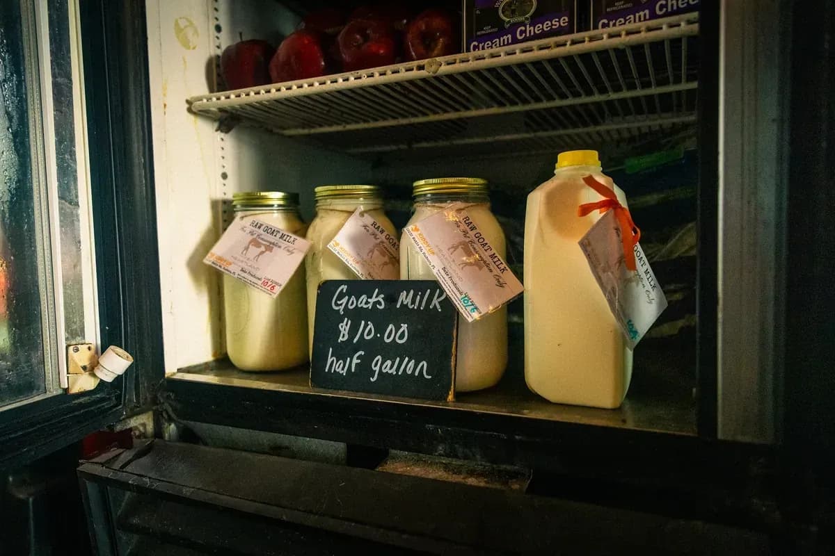 Market shelf with jars of goat milk and the price board