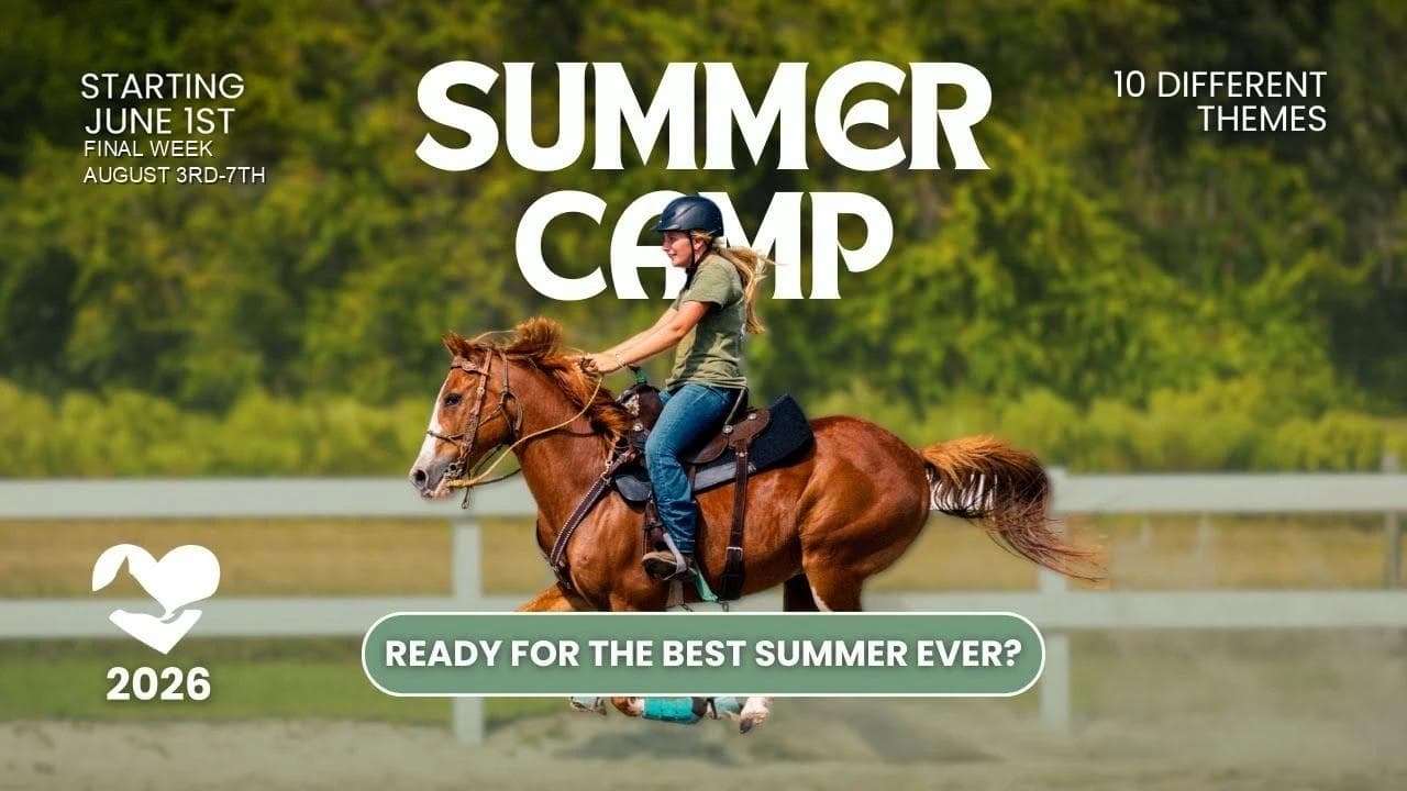 Summer Camp 2026 Week 6: Mounted Games & Dressage Precision