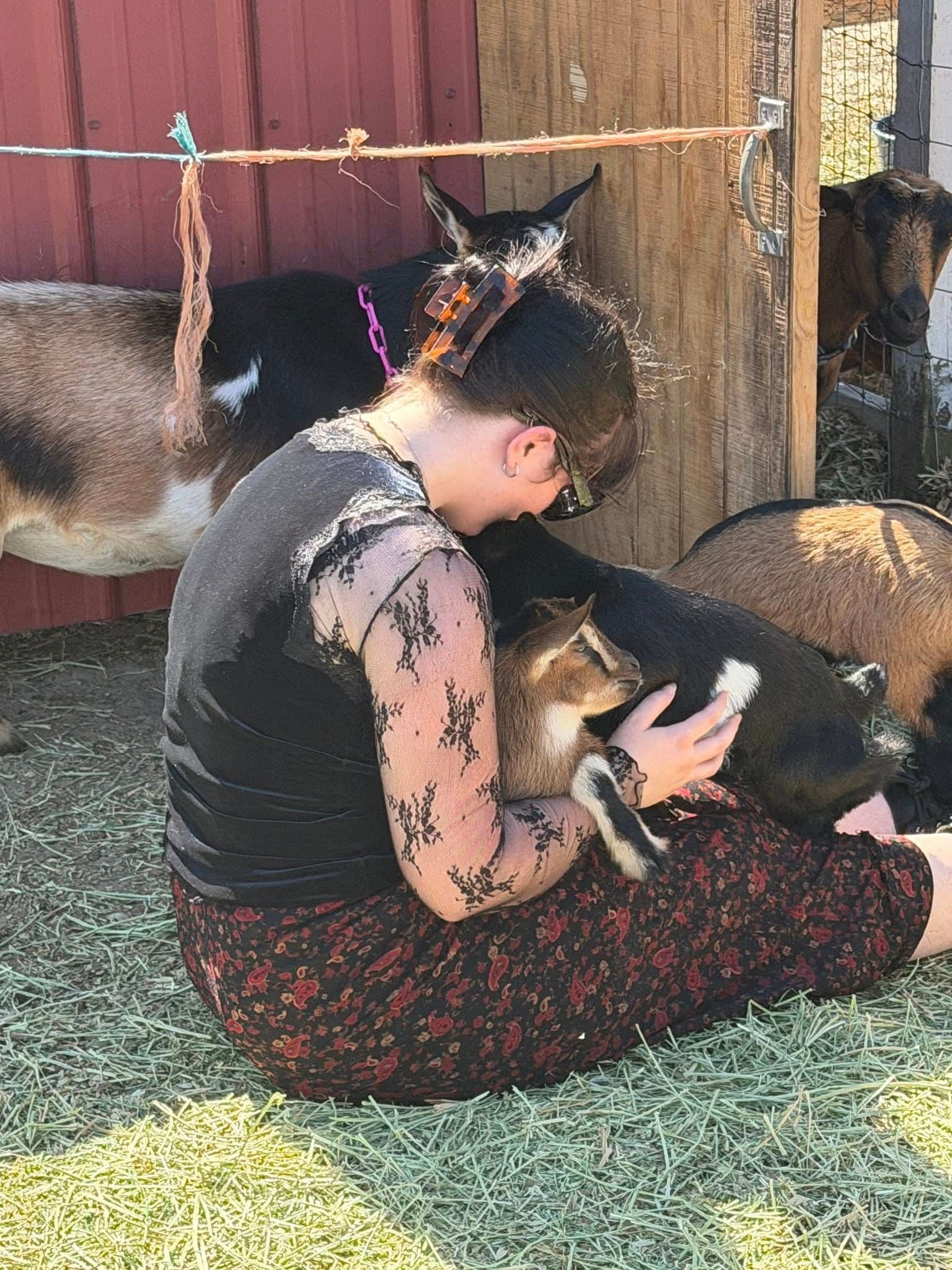 Farmstead Festival gallery image 8