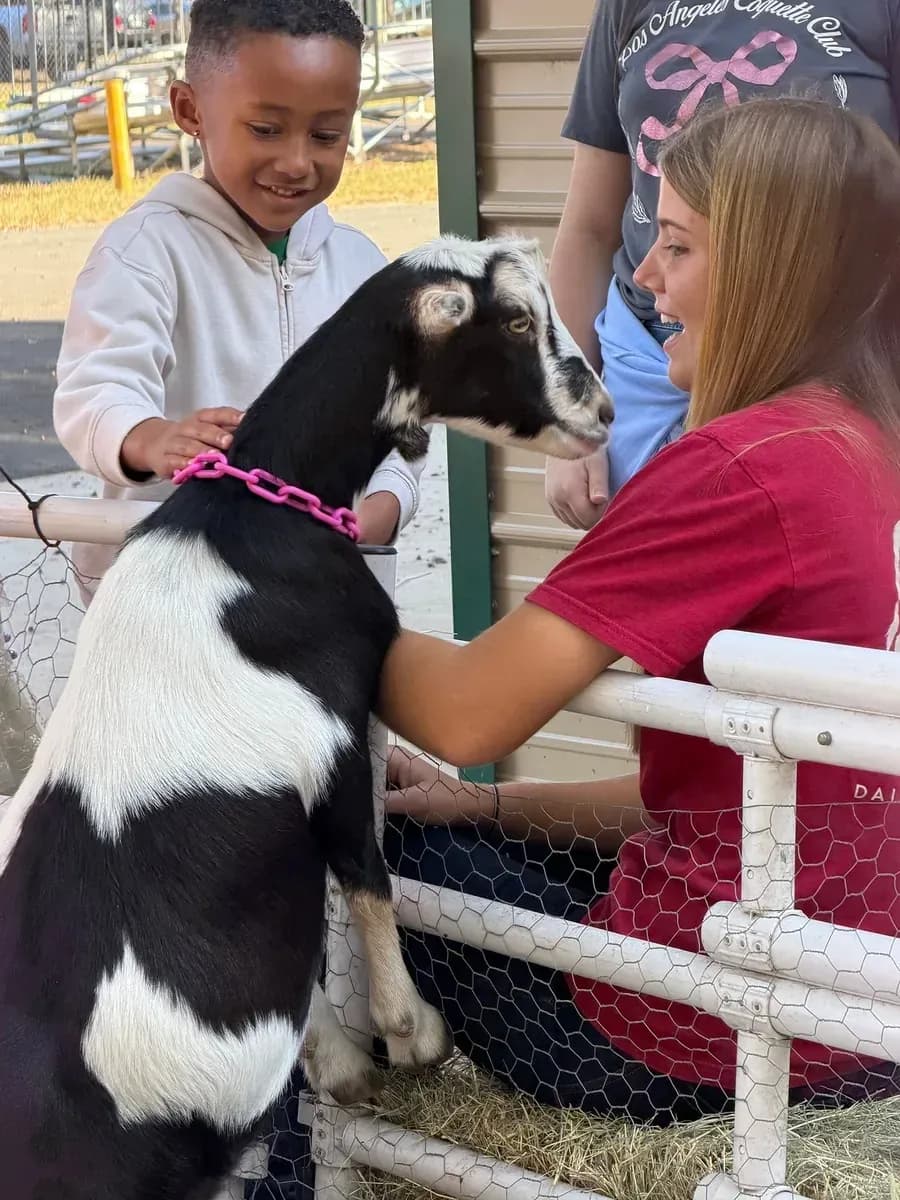 Boy petting a black and white goat at the holiday Market Day