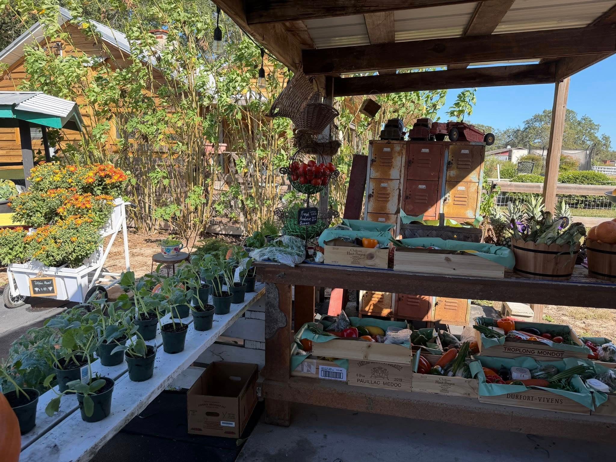 Farmstead Festival gallery image 16