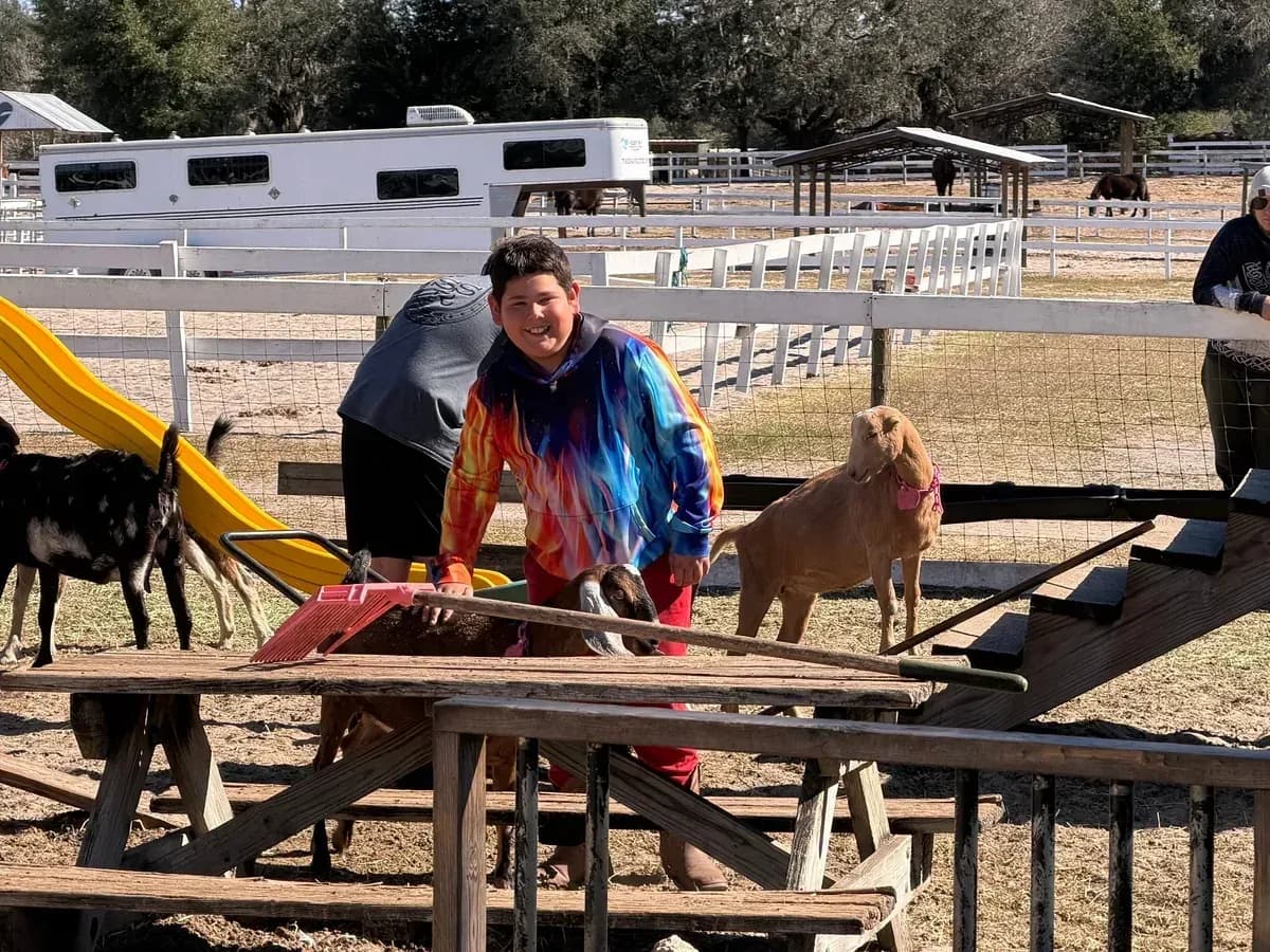 Visitors meeting the goats by the picnic tables