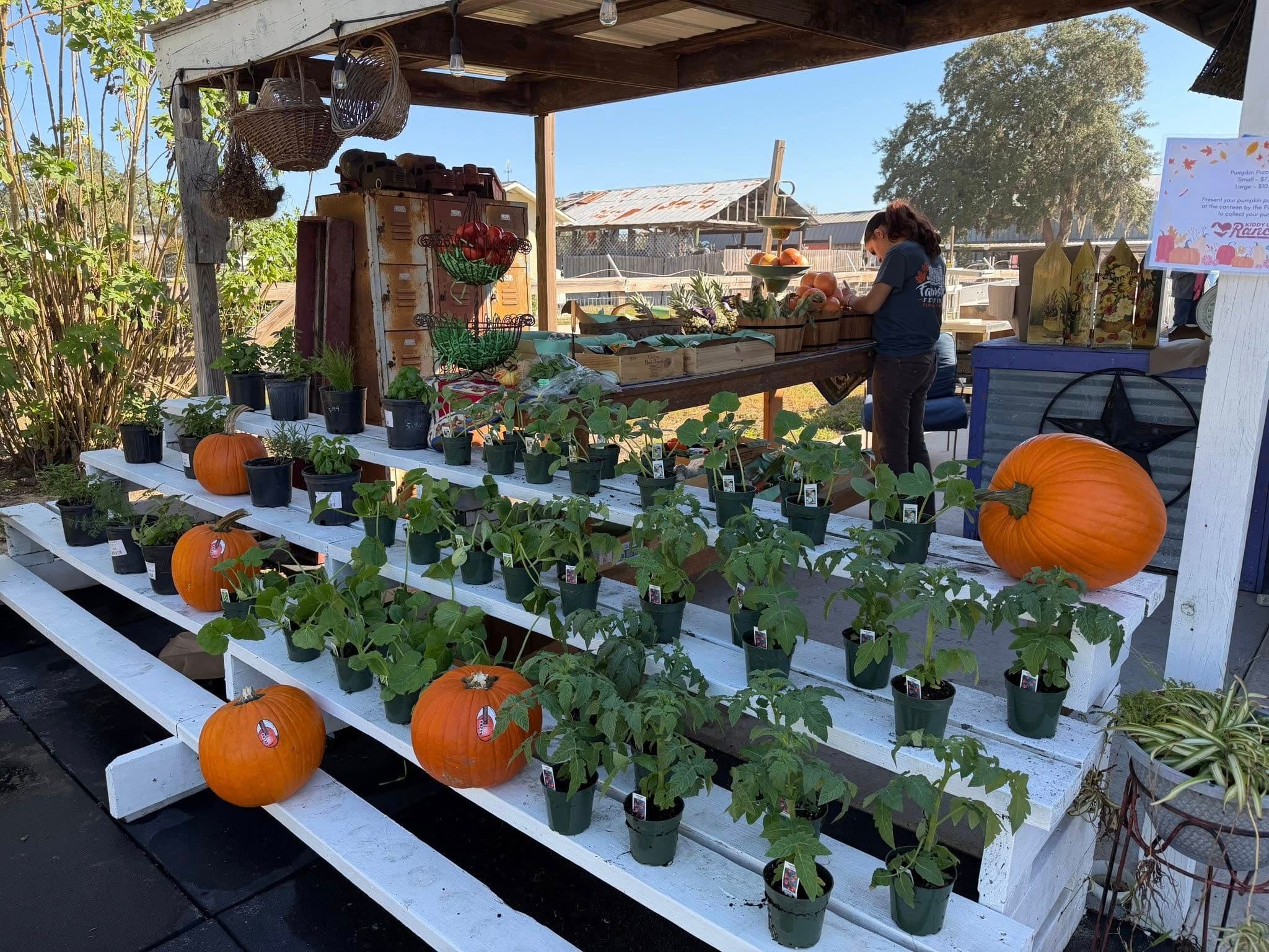 Farmstead Festival gallery image 5