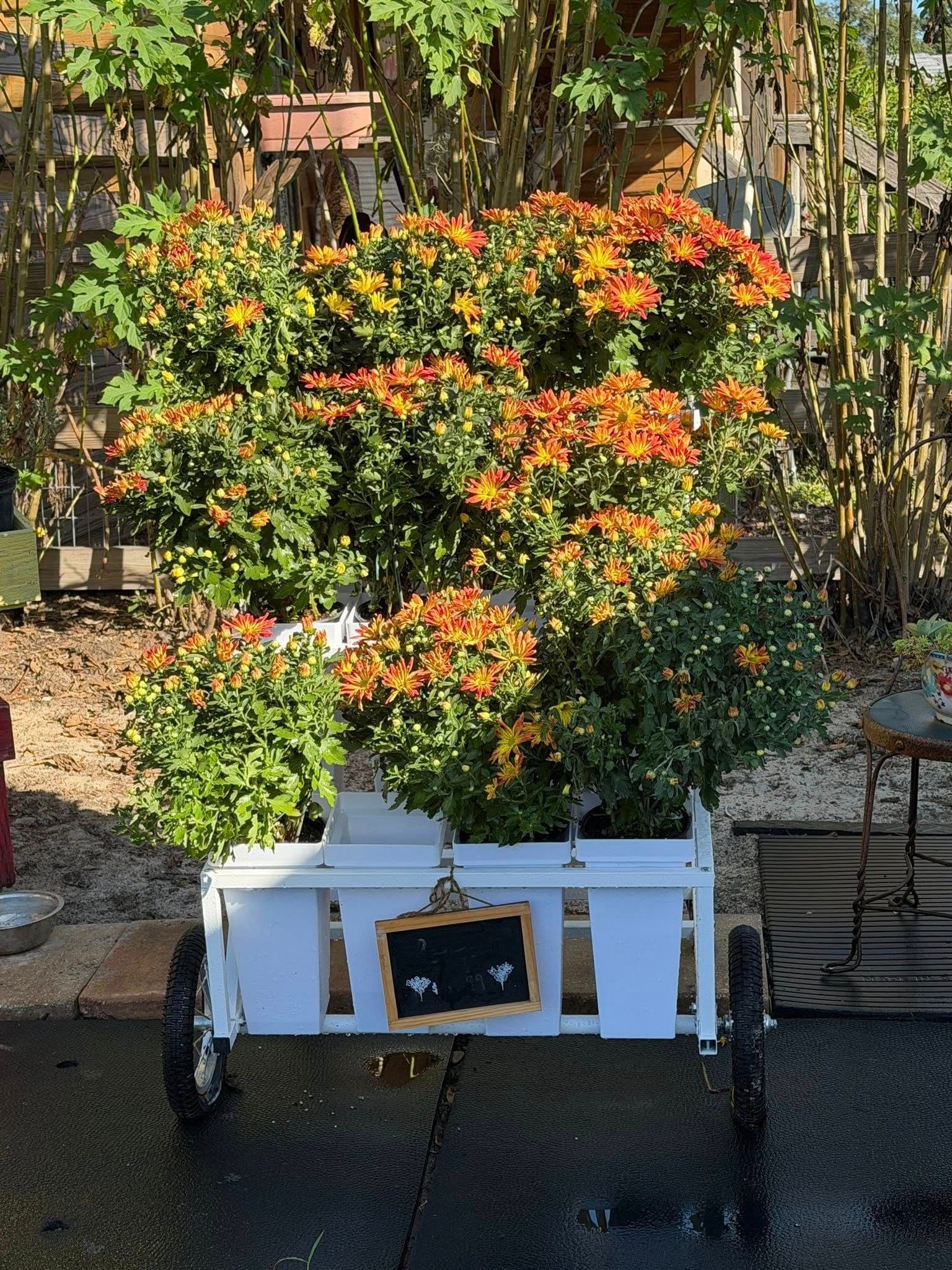 Farmstead Festival gallery image 6