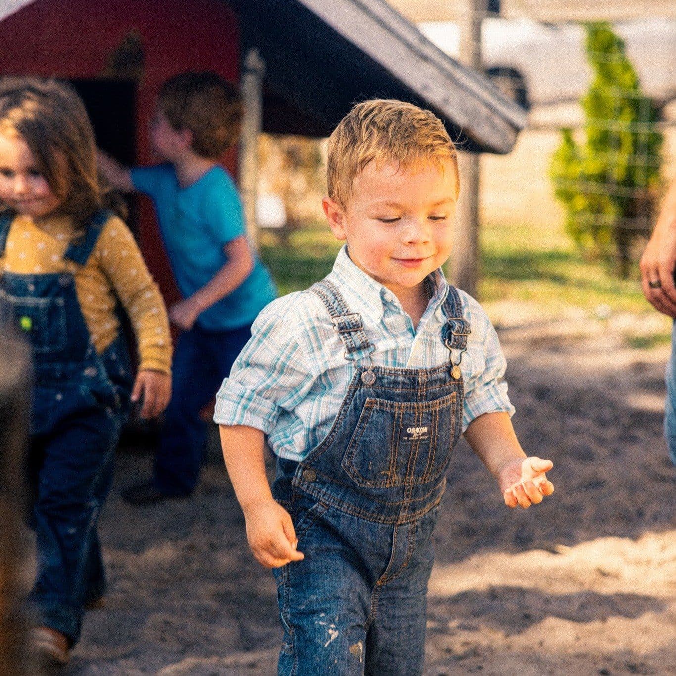 Toddler Time on the Farm