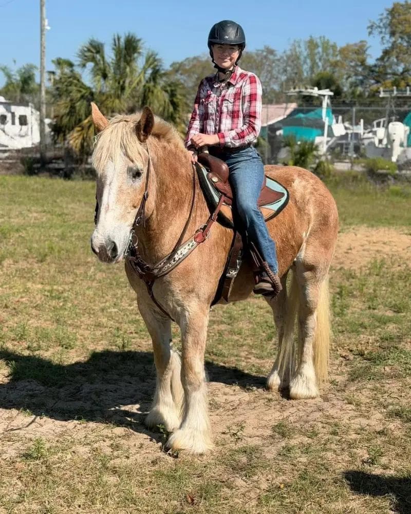 Gracie carrying a young rider at Kiddy Up Ranch