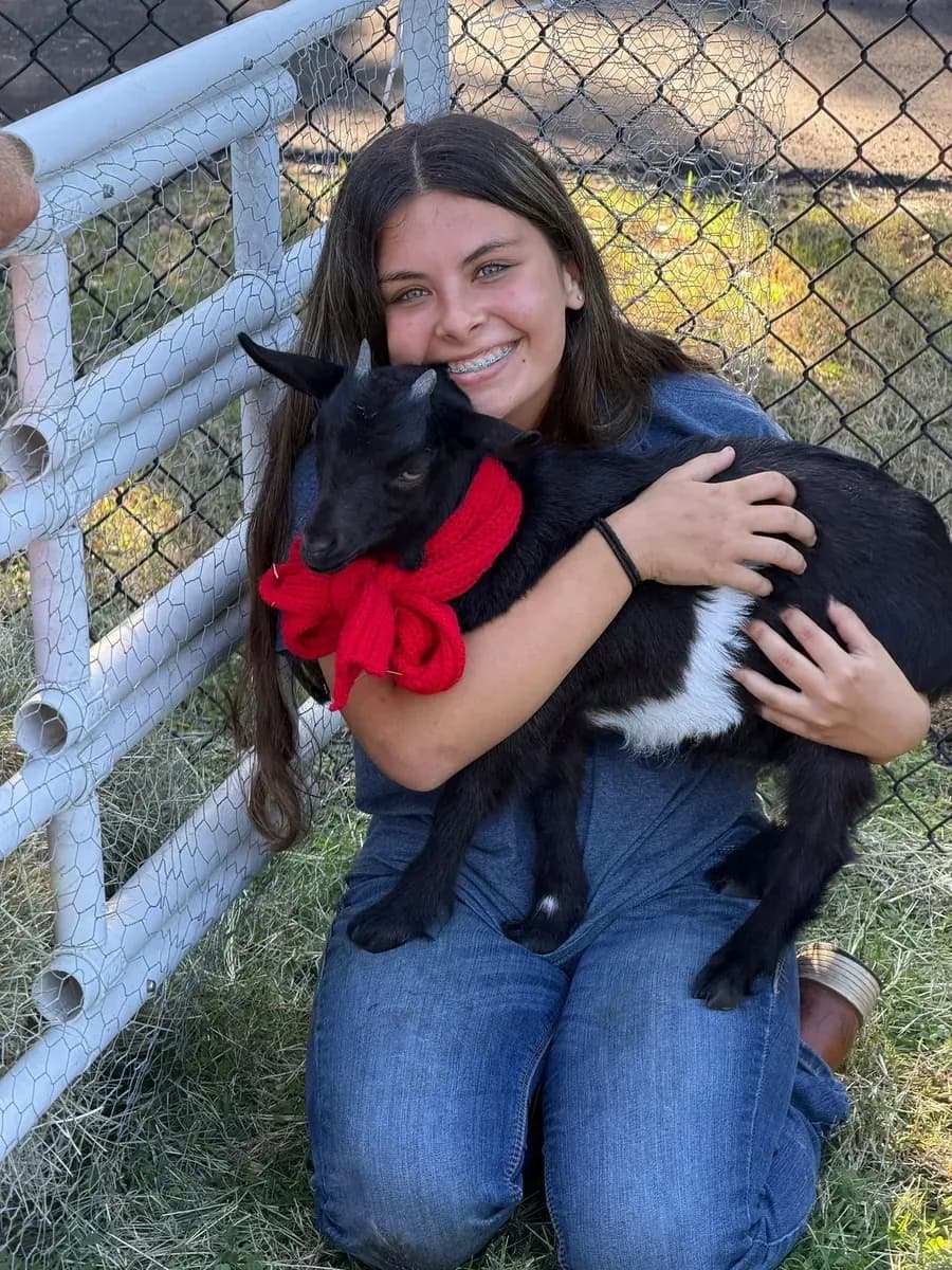 Smiling girl hugging a black goat with a red holiday bow