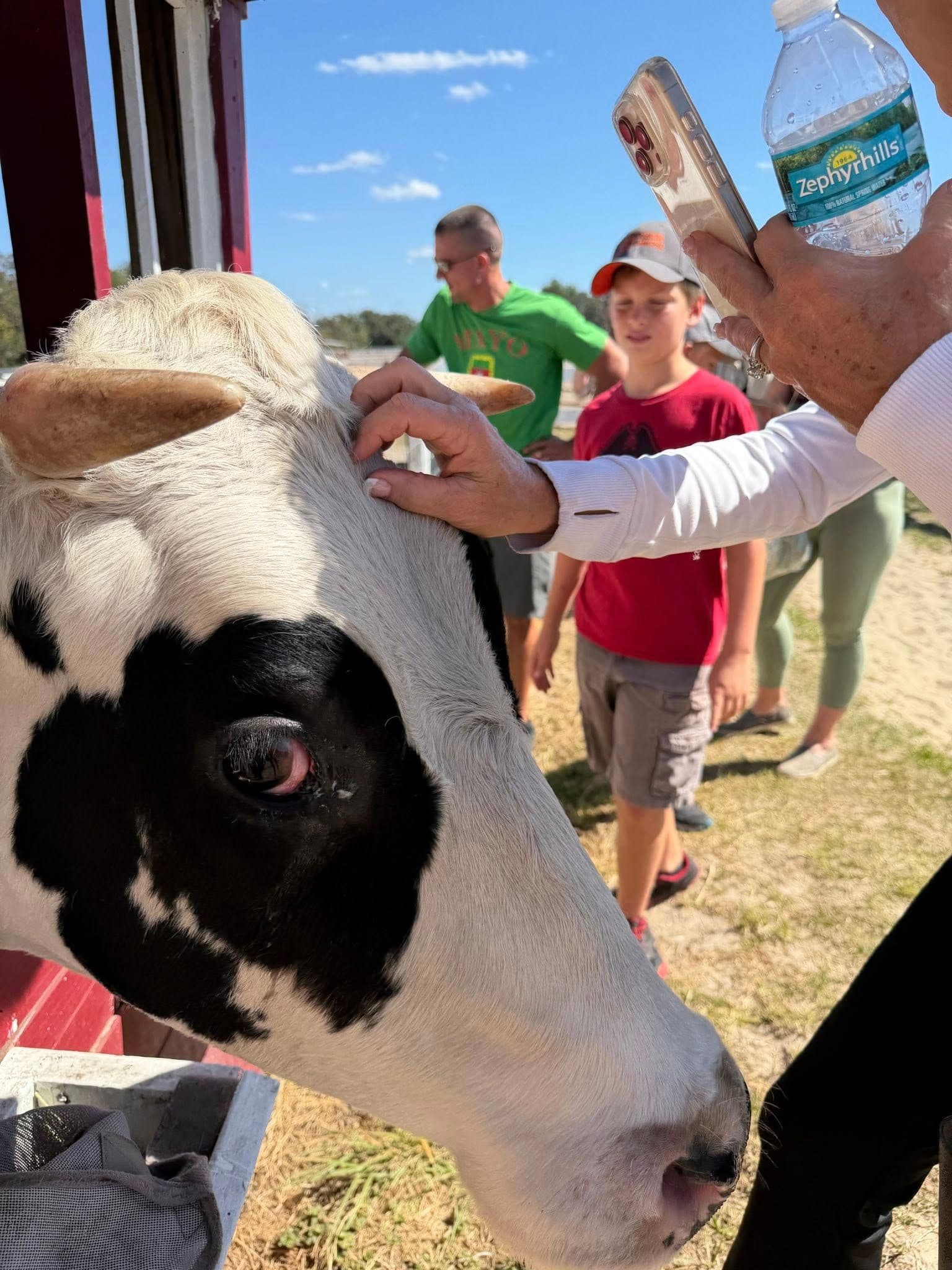 Farmstead Festival gallery image 7