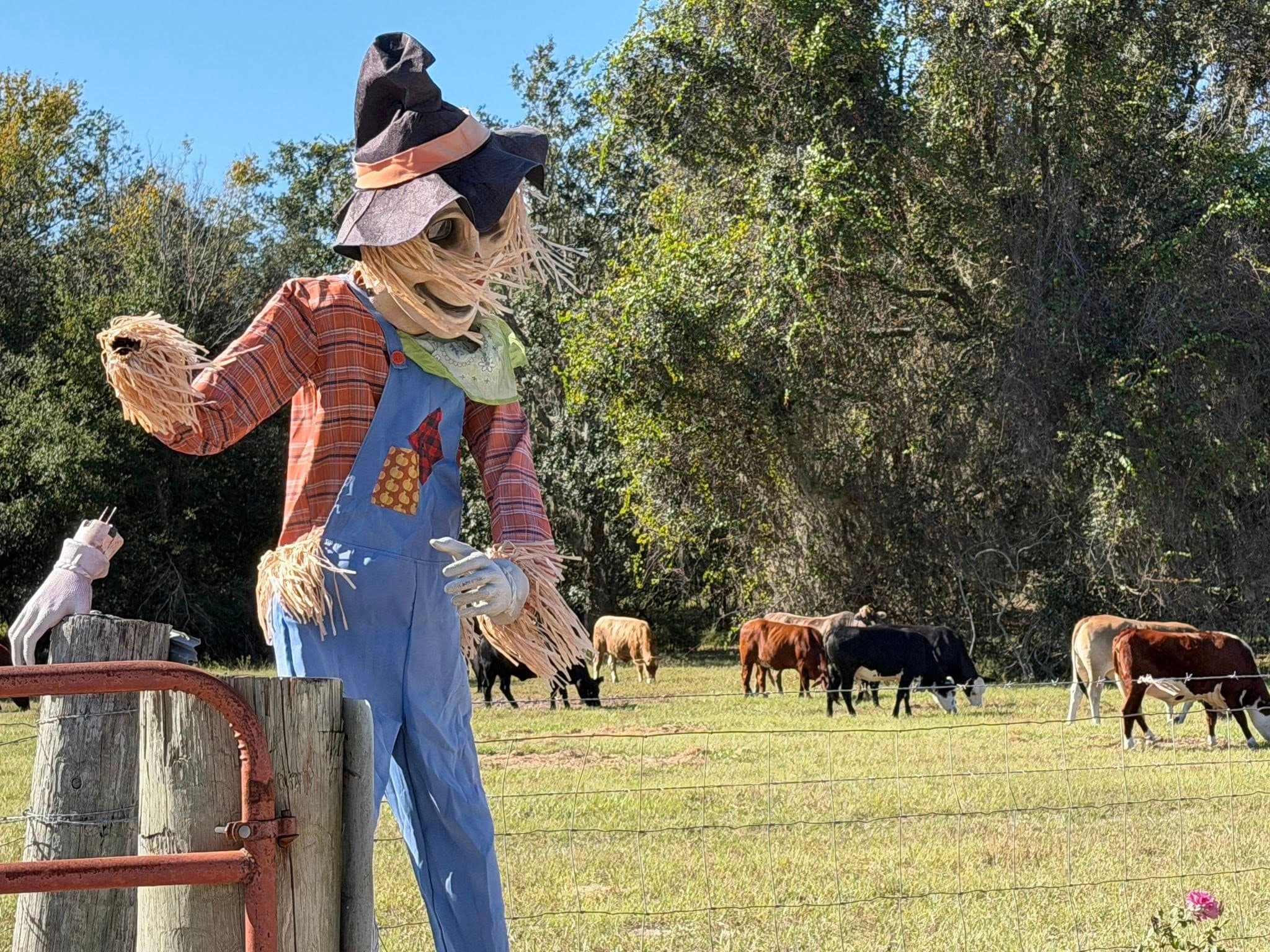 Farmstead Festival gallery image 10