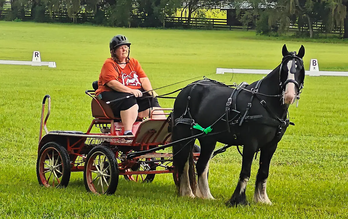 Summer Camp 2026 Week 5: Carriage, Driving & Dressage