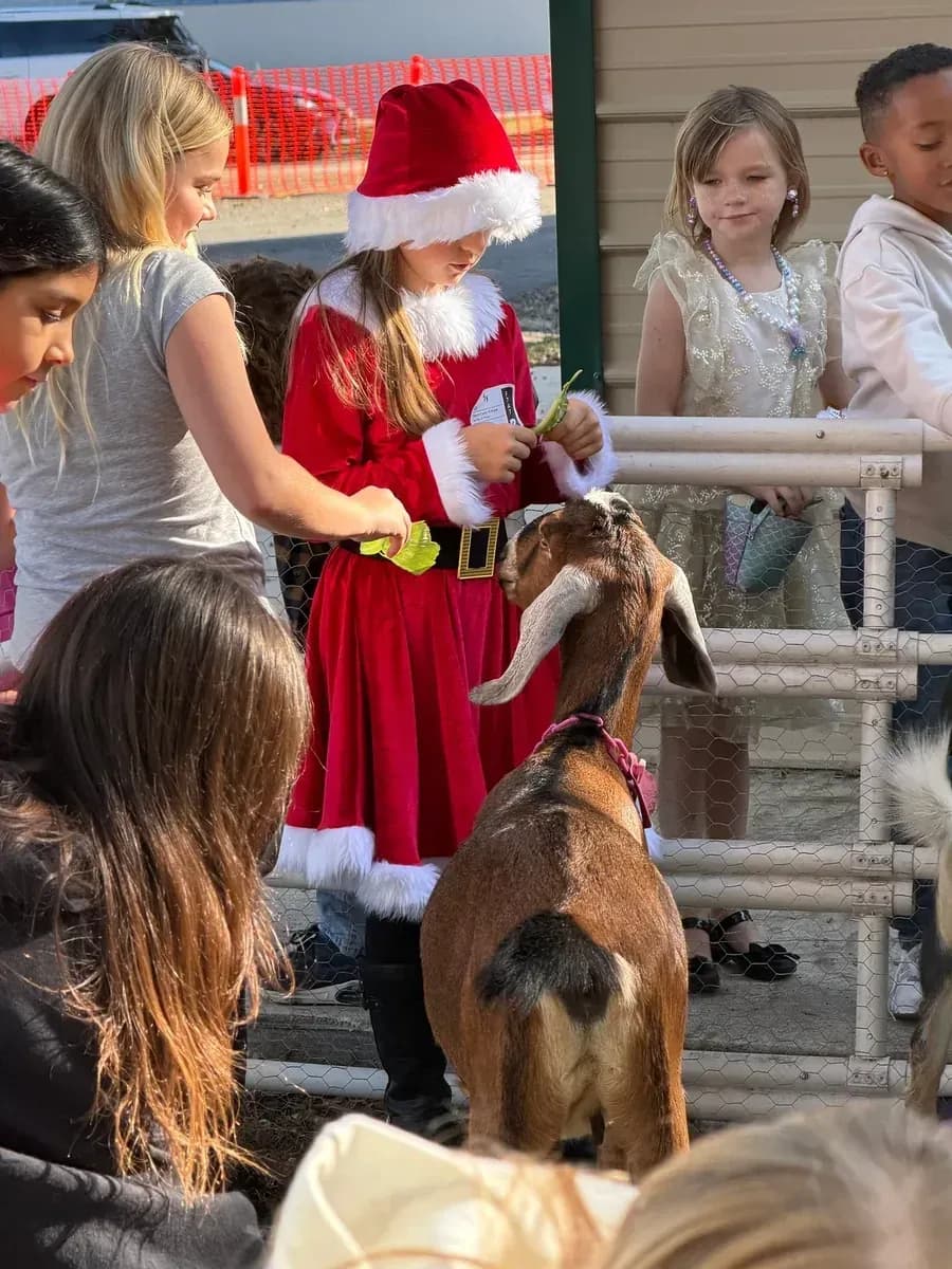 Children meeting the goats with Mrs. Claus at the Christmas Market Day