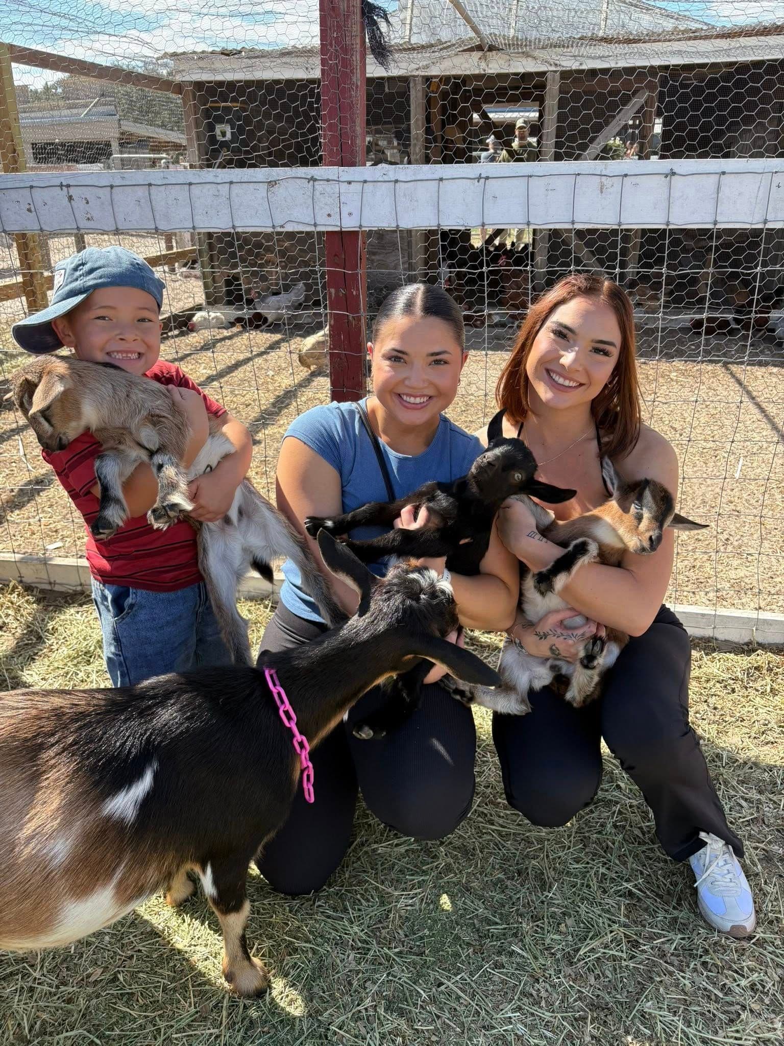 Farmstead Festival gallery image 4