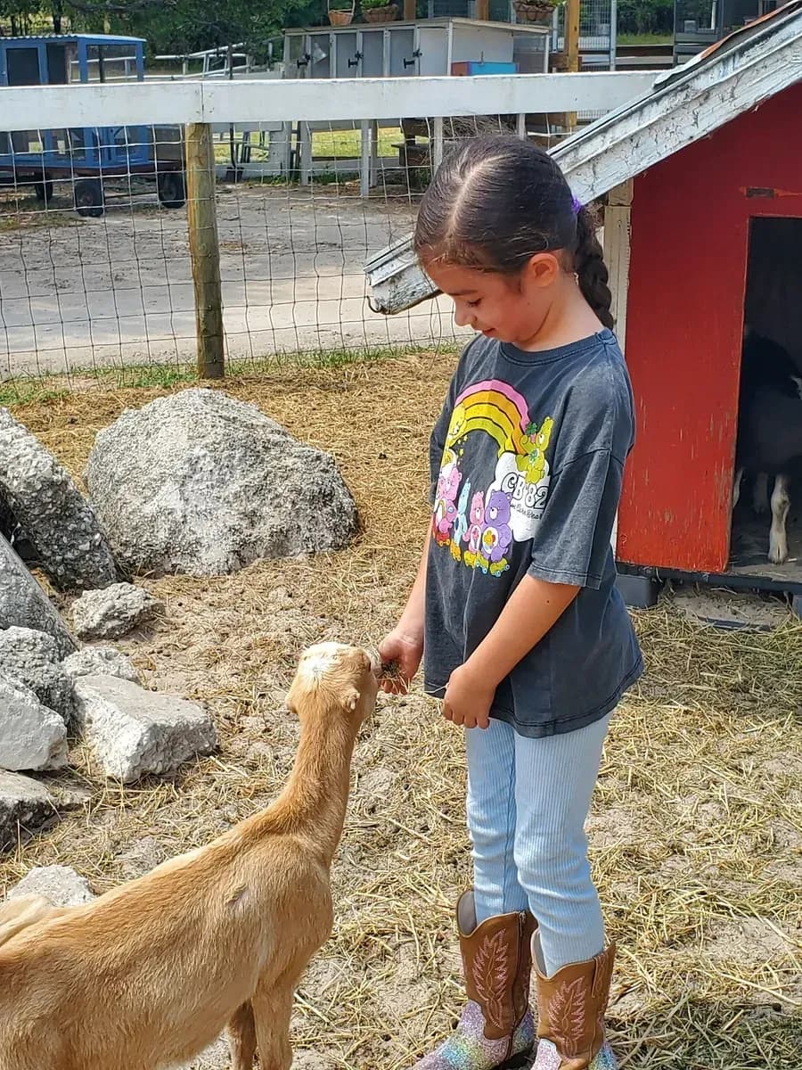 Girl hand-feeding a tan dairy goat