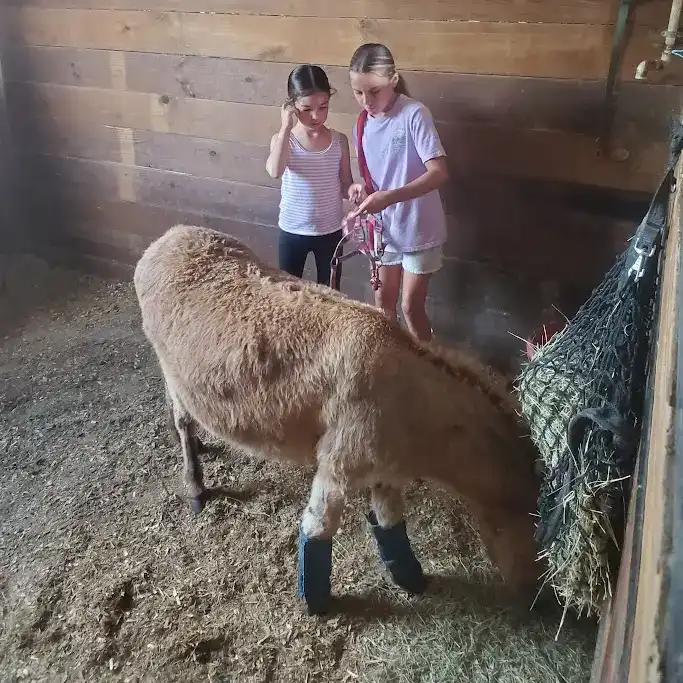 Students demonstrating commitment to character through animal care