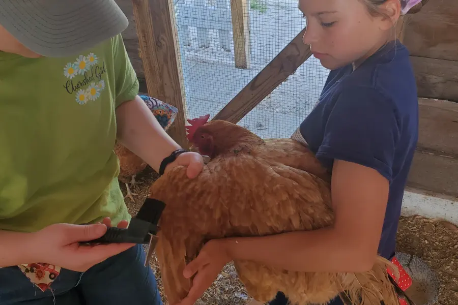 Day School program at Farmstead
