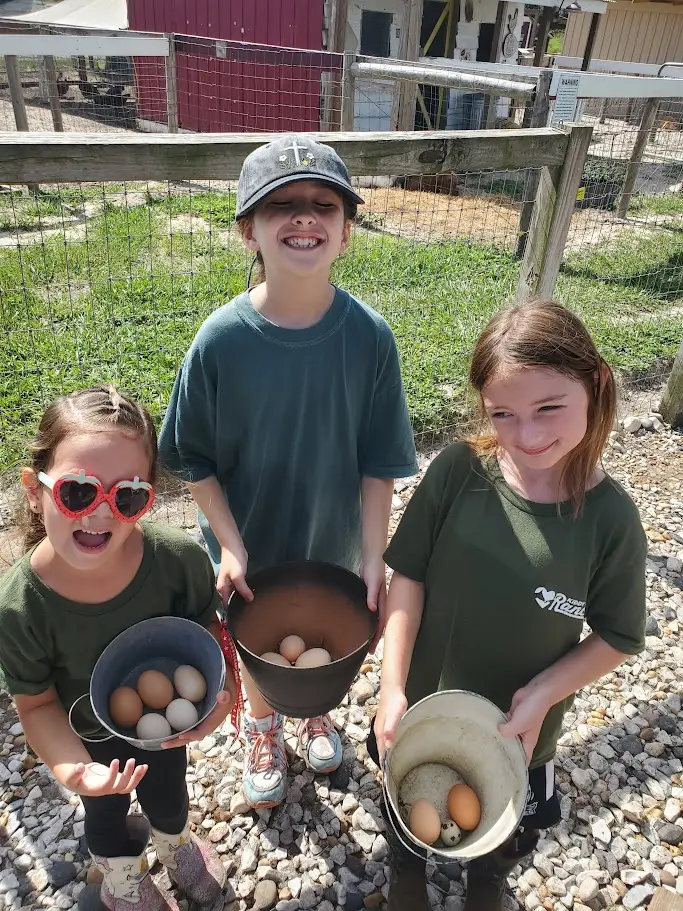 Sprouts students collecting fresh eggs outdoors at the farm