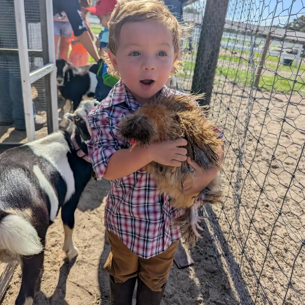 Young child holding a chick during Toddler Time at Farmstead