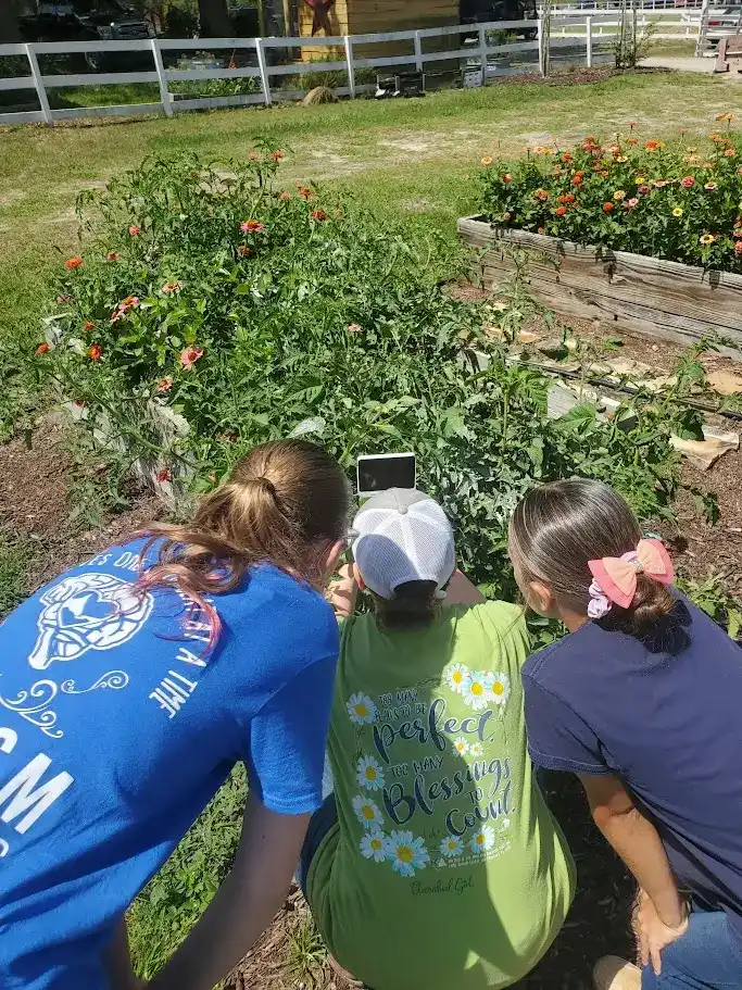Students engaged in hands-on garden learning and agricultural education